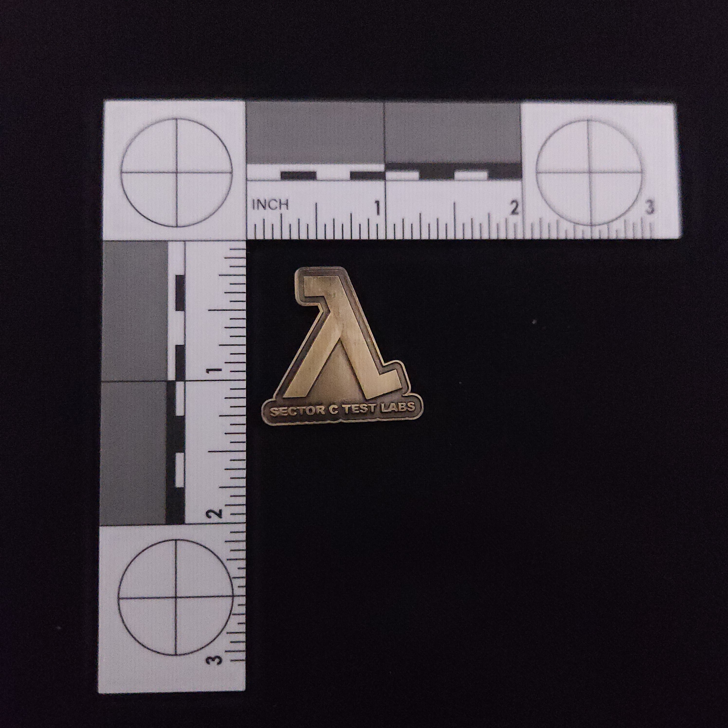 Half-Life Logo Pins