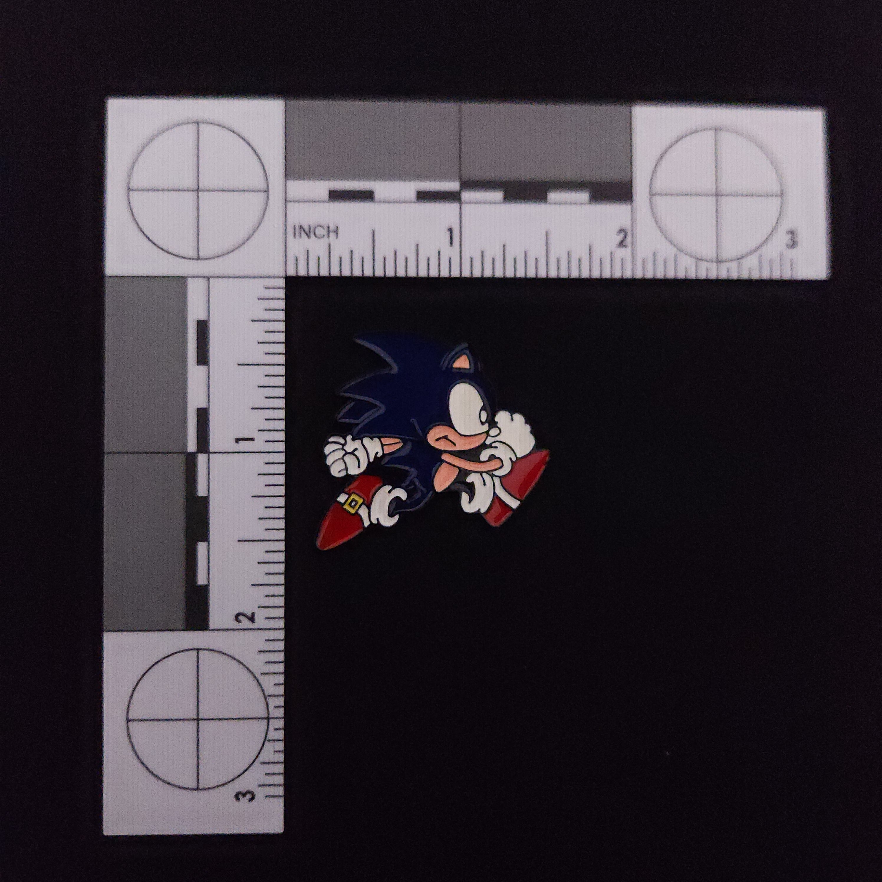 Sonic the Hedgehog Sonic Pin