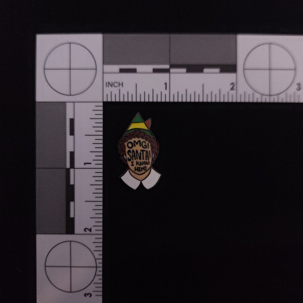 Elf Santa Pin