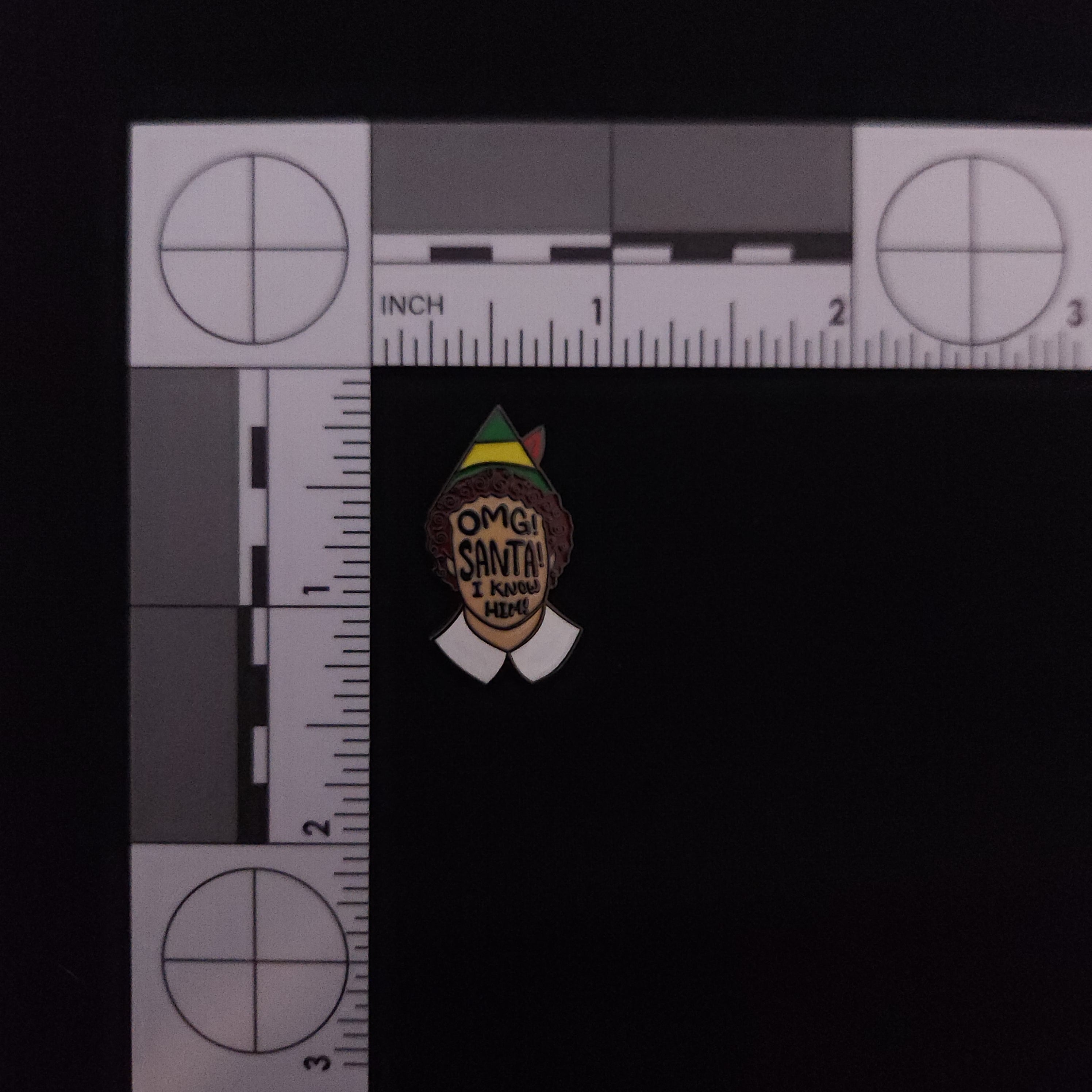 Elf Santa Pin