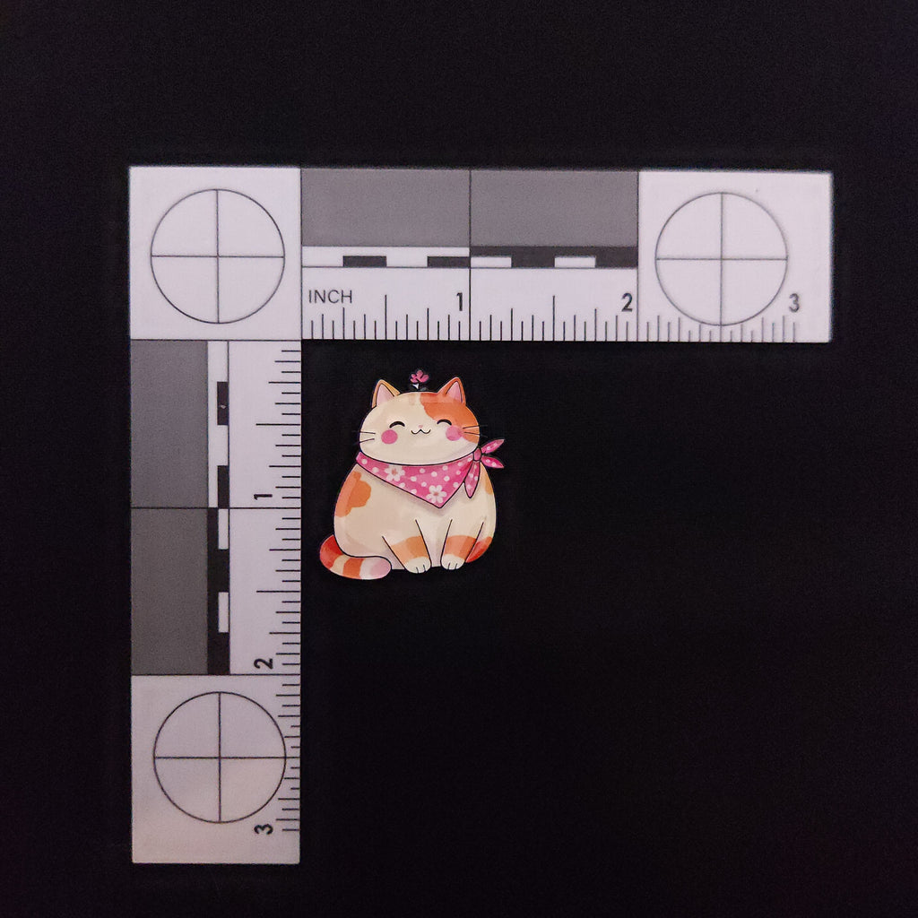 Cats Rainbow Cats Pin